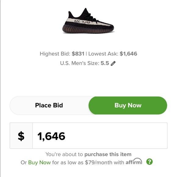 Yeezy 350 v2 Oreos - Picture 7 of 7